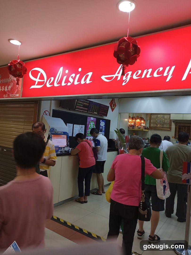 Delisia Agency Pte Ltd