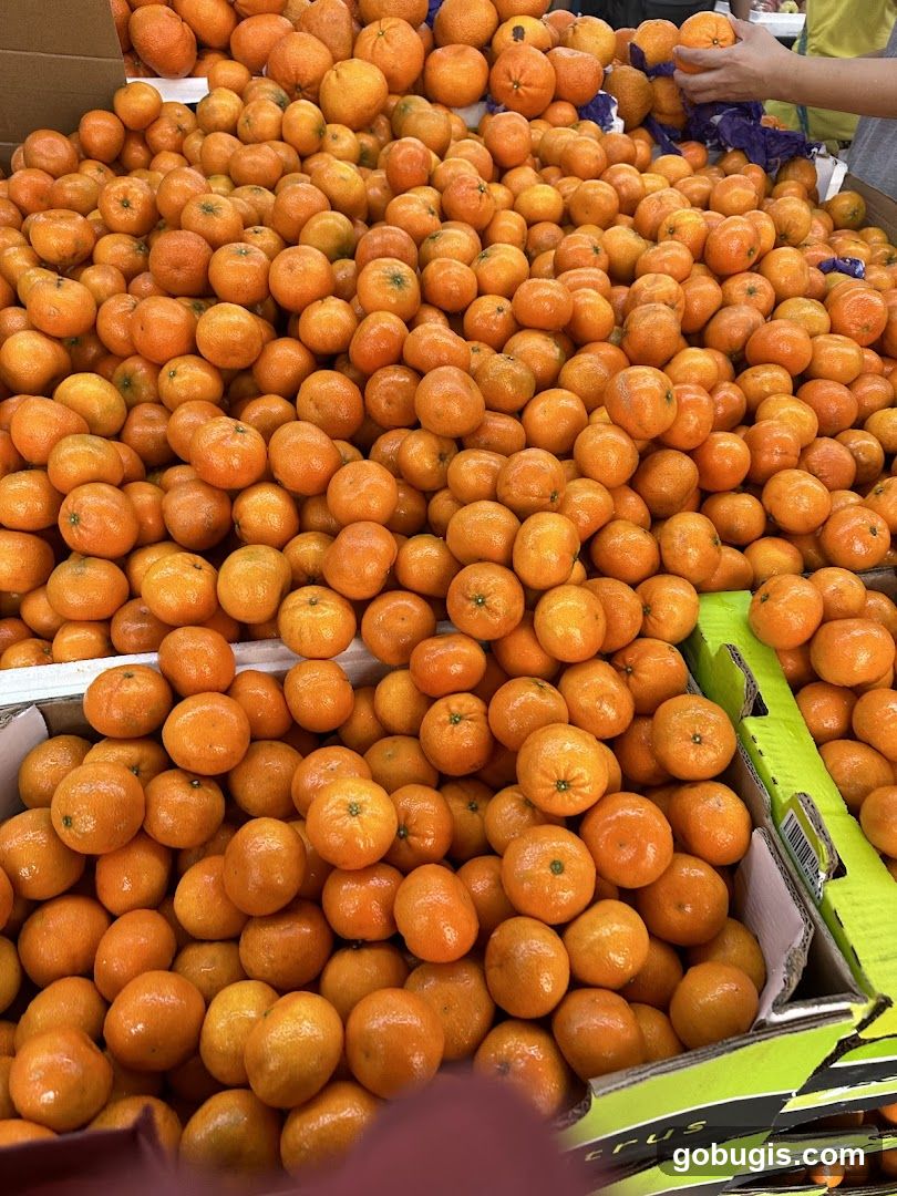 Pile of Oranges