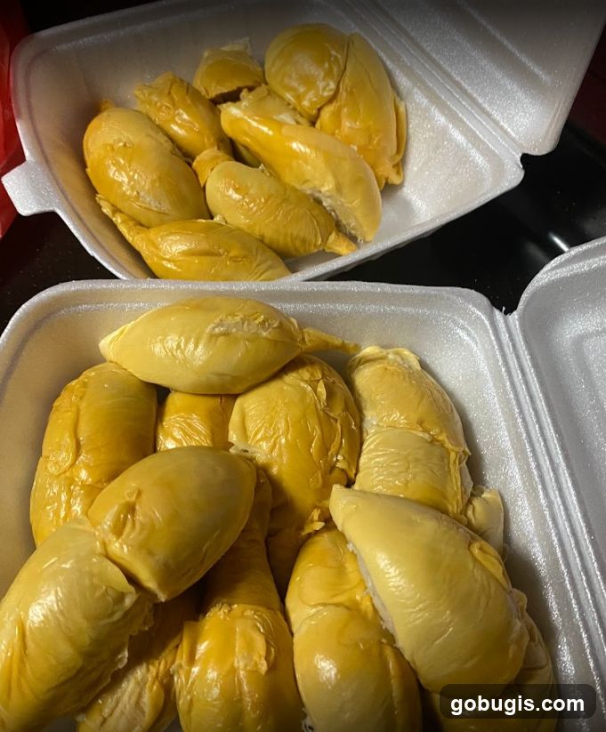 Durian Fruit