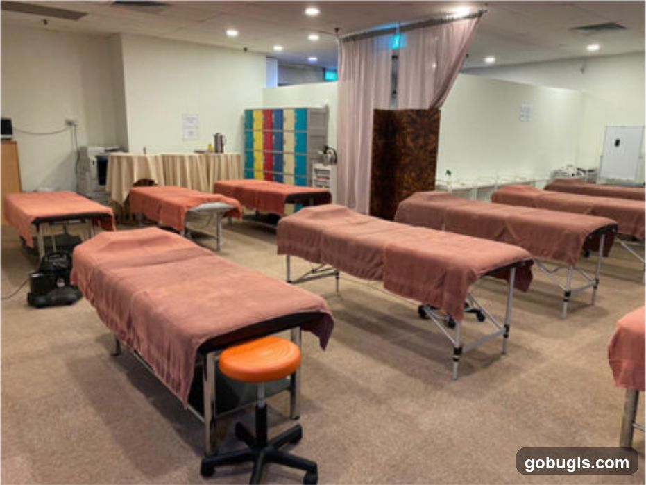 Massage Room Setup