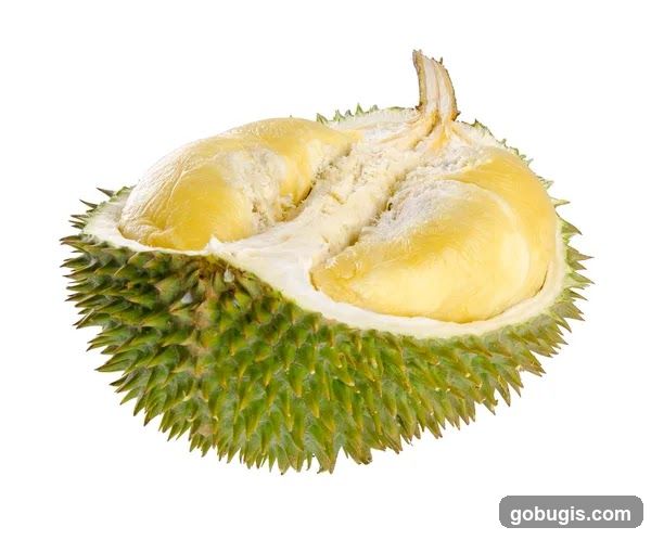 Durian Fruit
