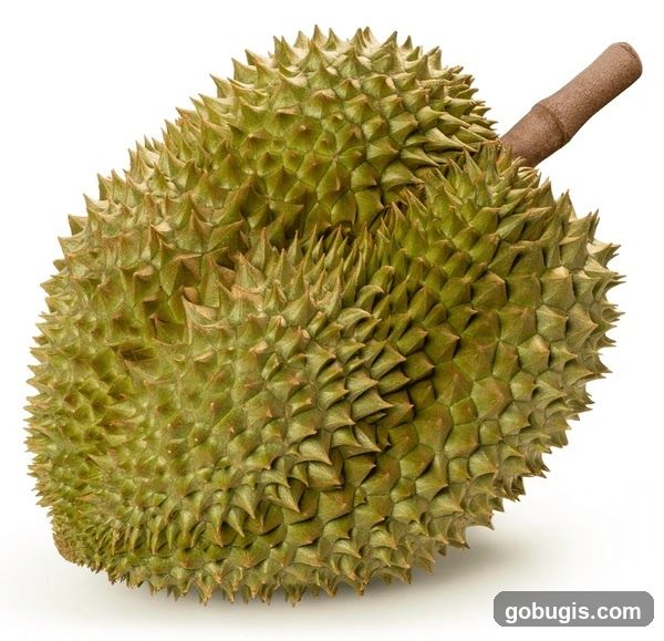 Durian Fruit