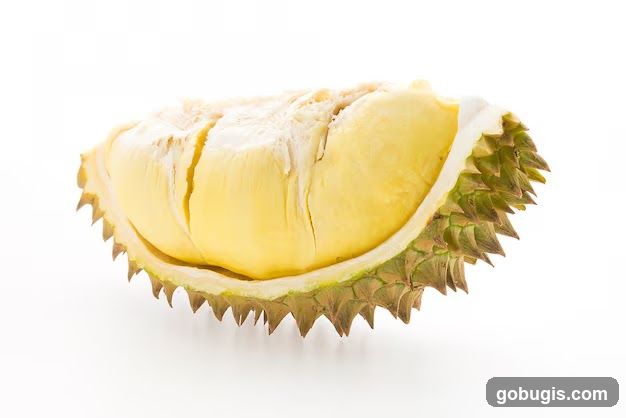 Durian Fruit