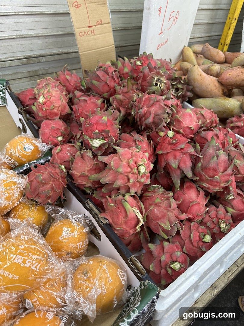 Dragon Fruit and Oranges