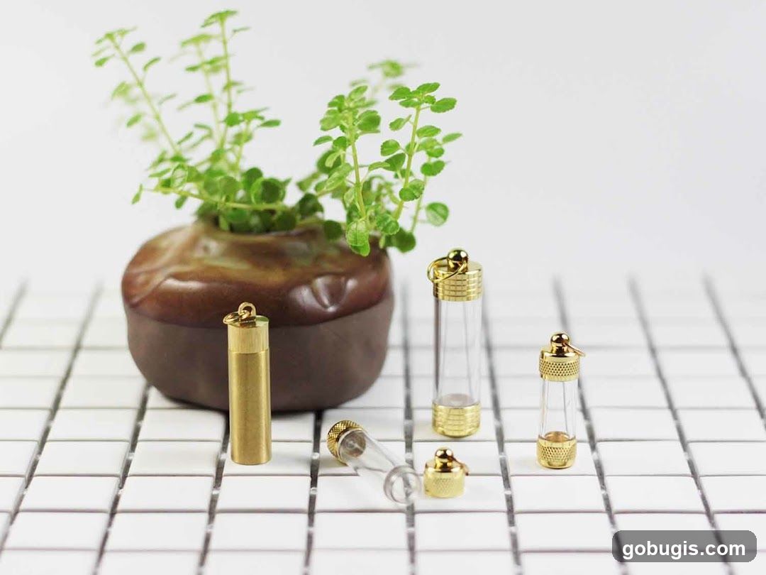 Miniature Vials and Plant