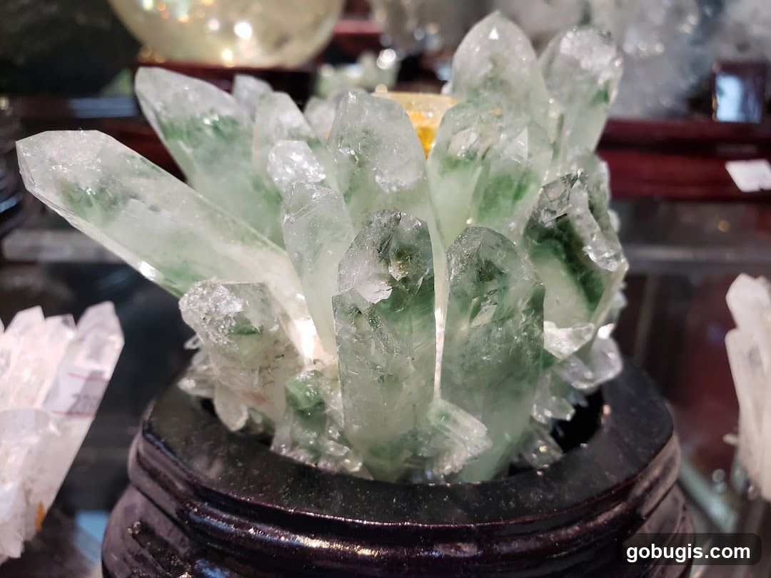 Green Quartz Cluster