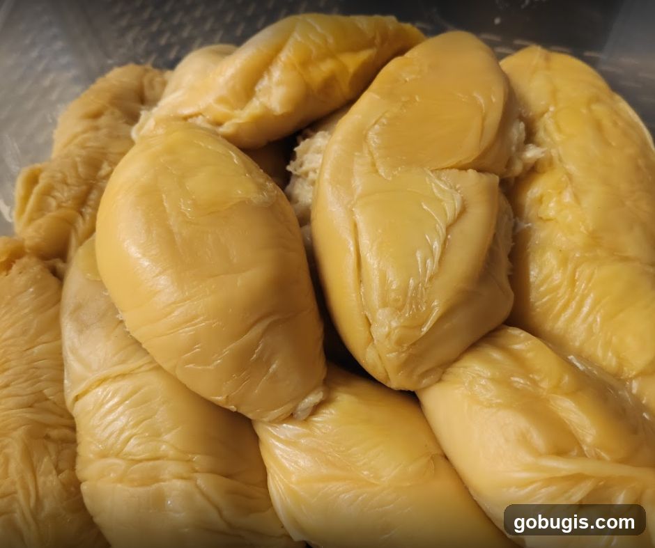 Durian Fruit Segments