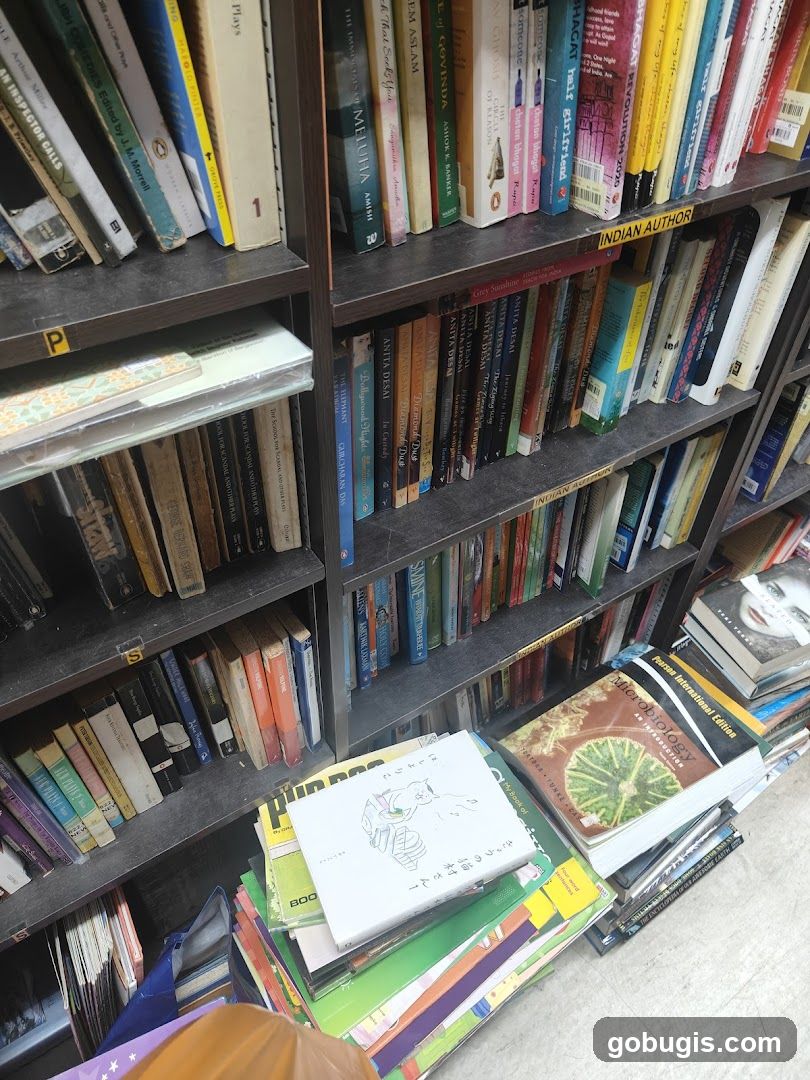 Books on Shelves