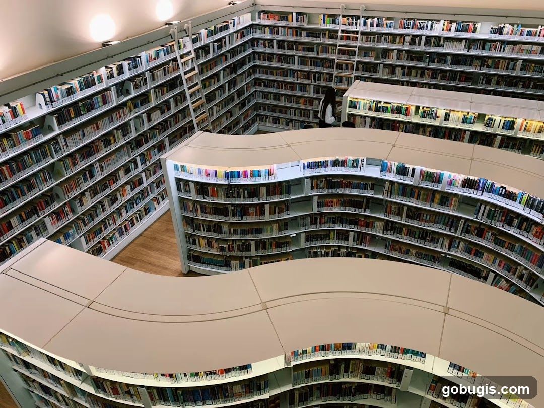 Library Interior