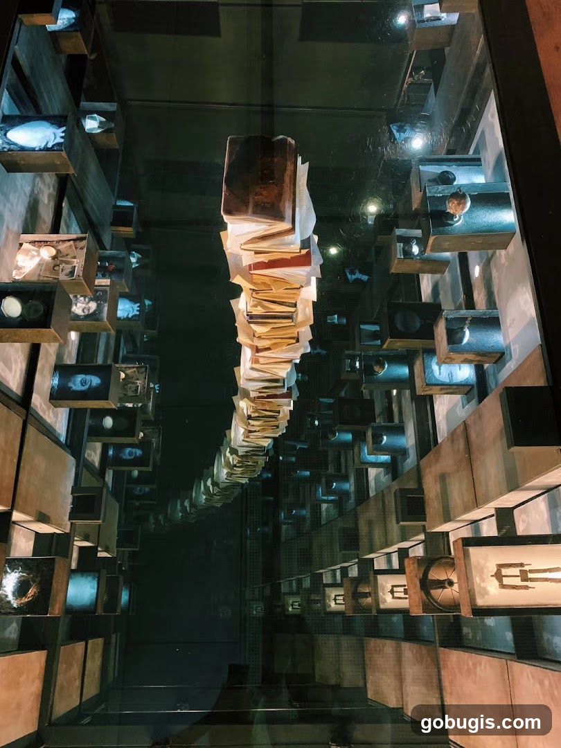 Display of artifacts and books