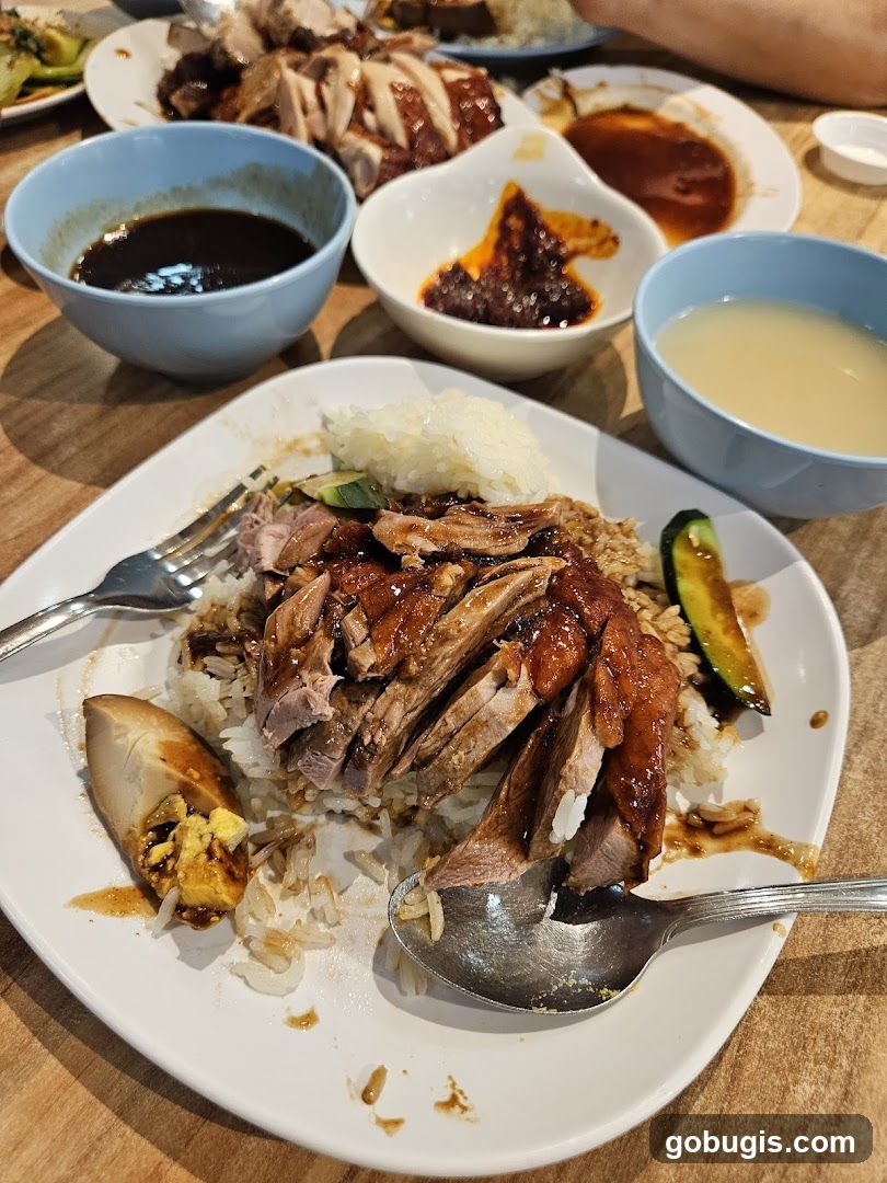 Roast Duck Rice