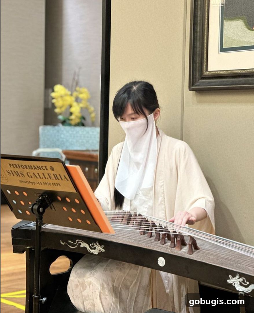 Guzheng Performance