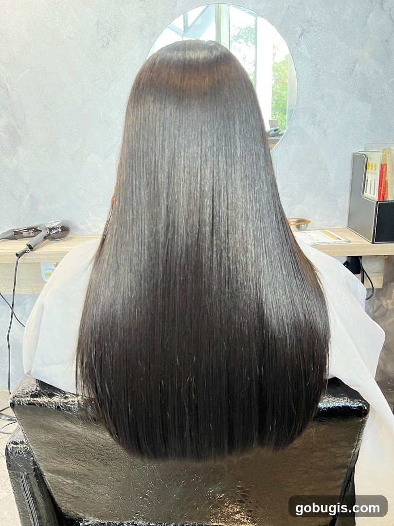 Hairdresser's Chair