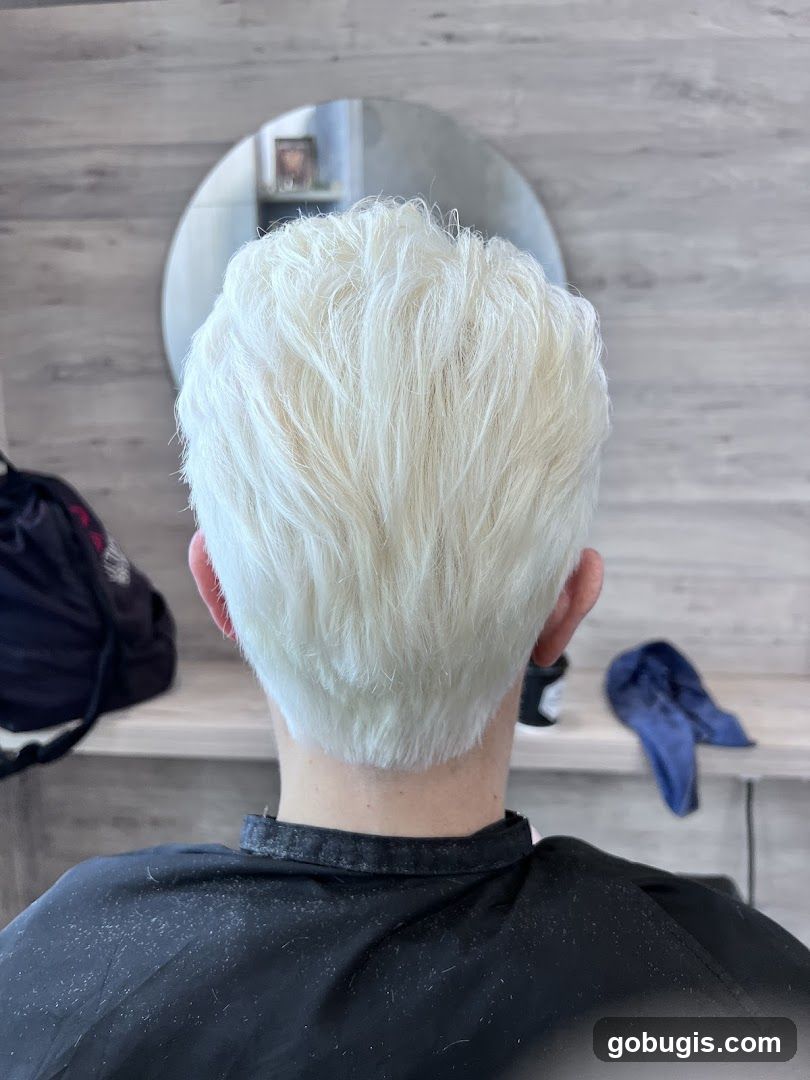 Blonde Haircut