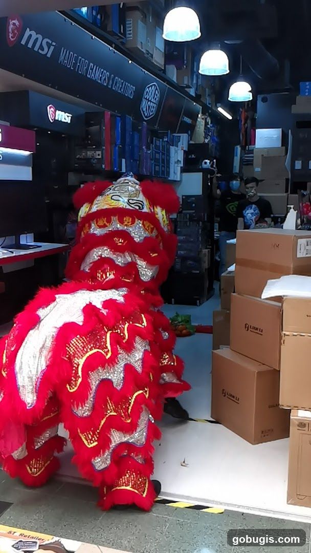 Lion Dance Performance
