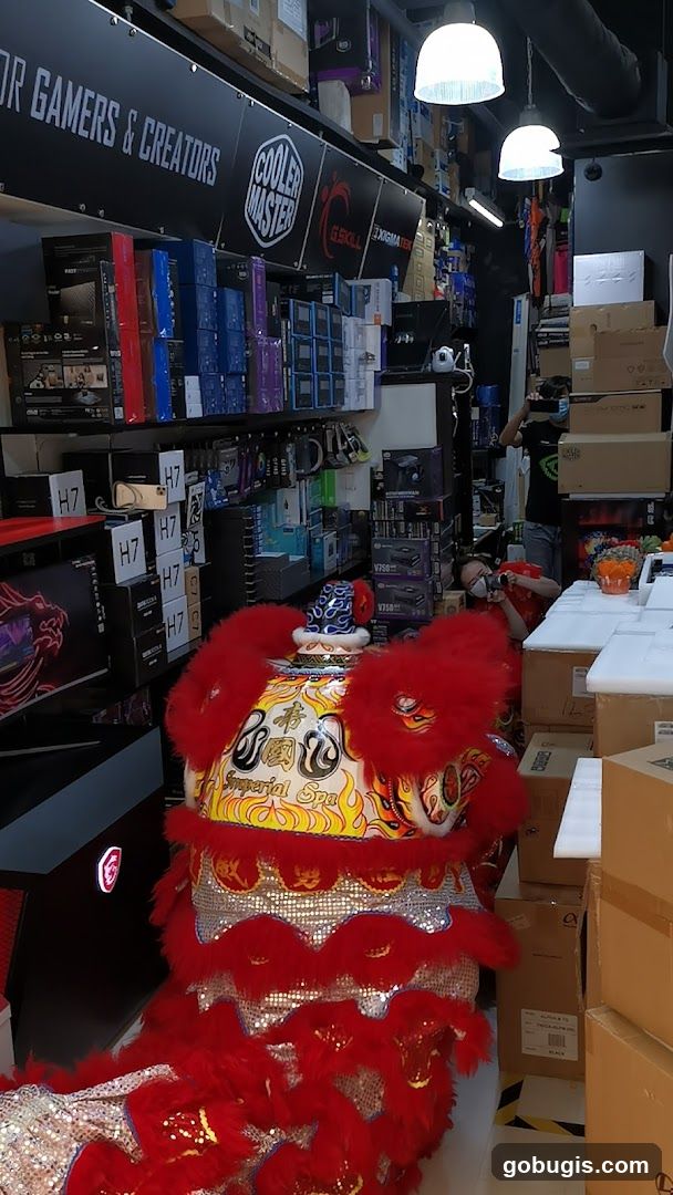 Computer Store with Lion Dance Costume