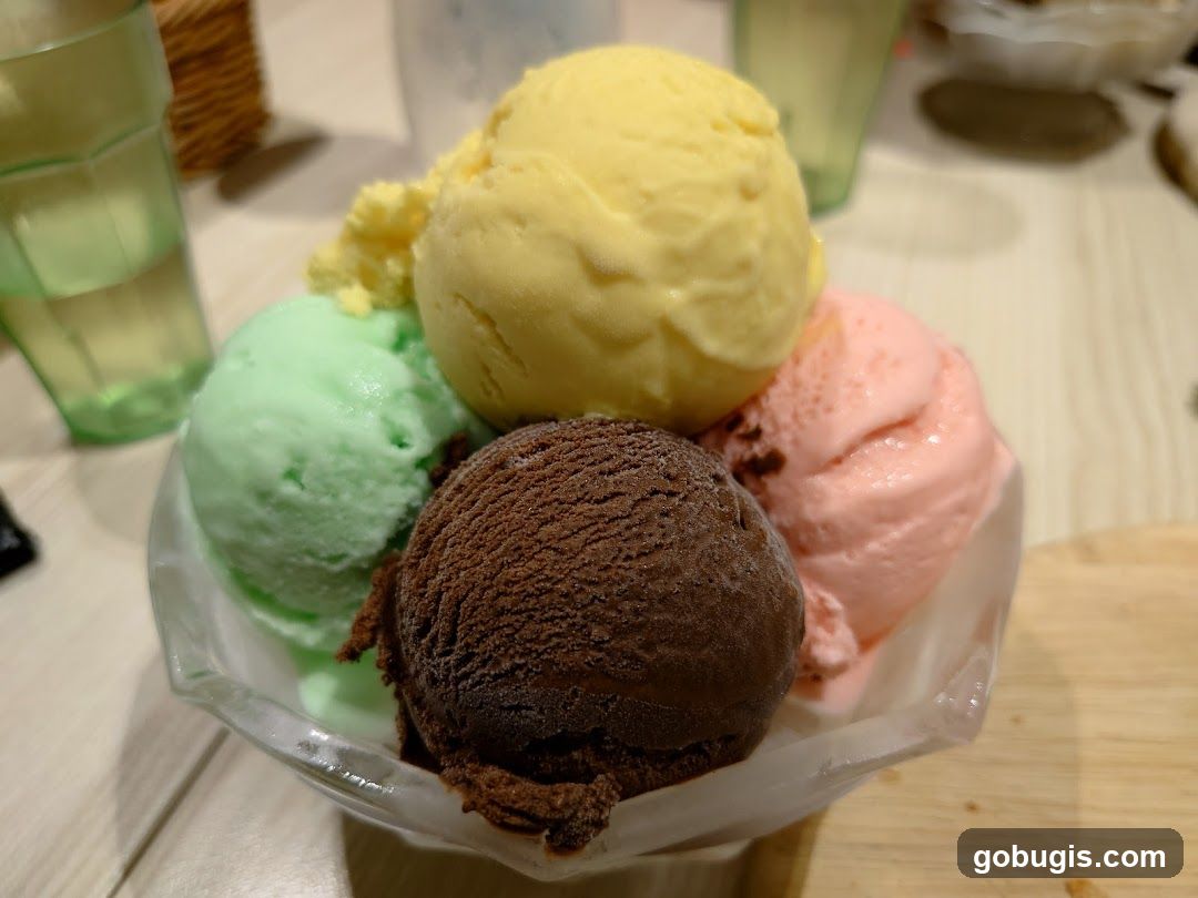 Assorted Ice Cream Scoops