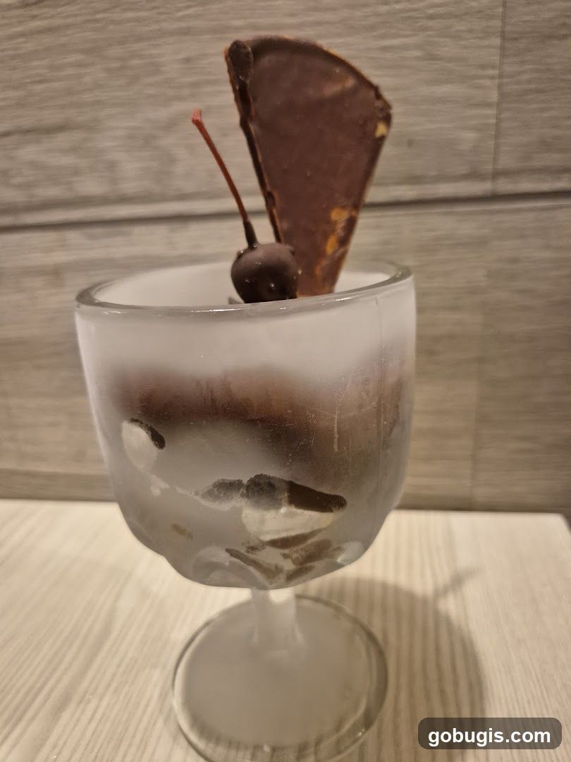 Chocolate dessert with cherry and chocolate garnish