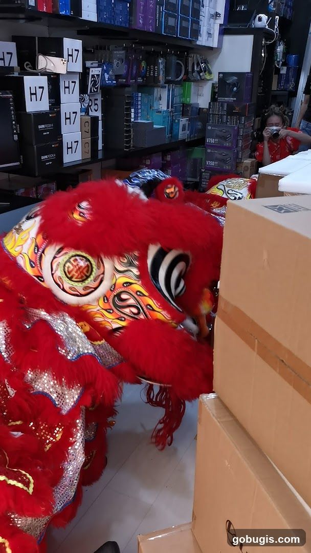 Lion Dance Costume in Electronics Store