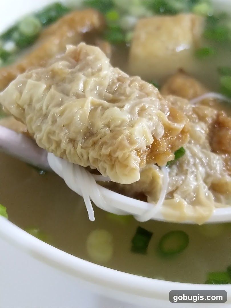 Close-up of a Spoonful of Noodle Soup