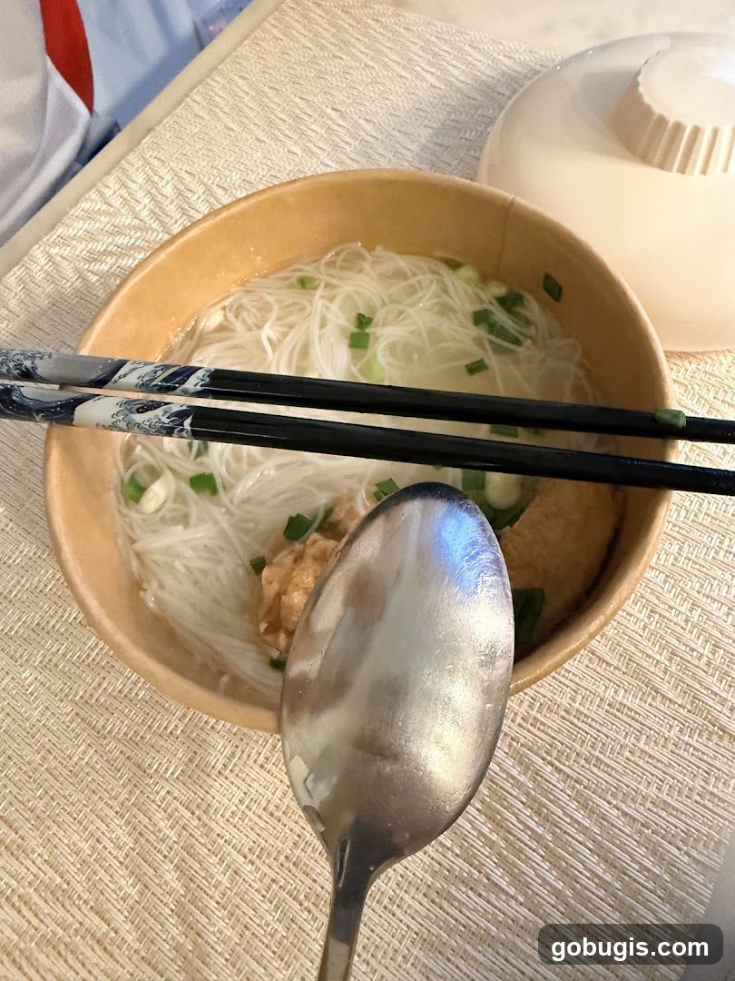 Noodle Soup