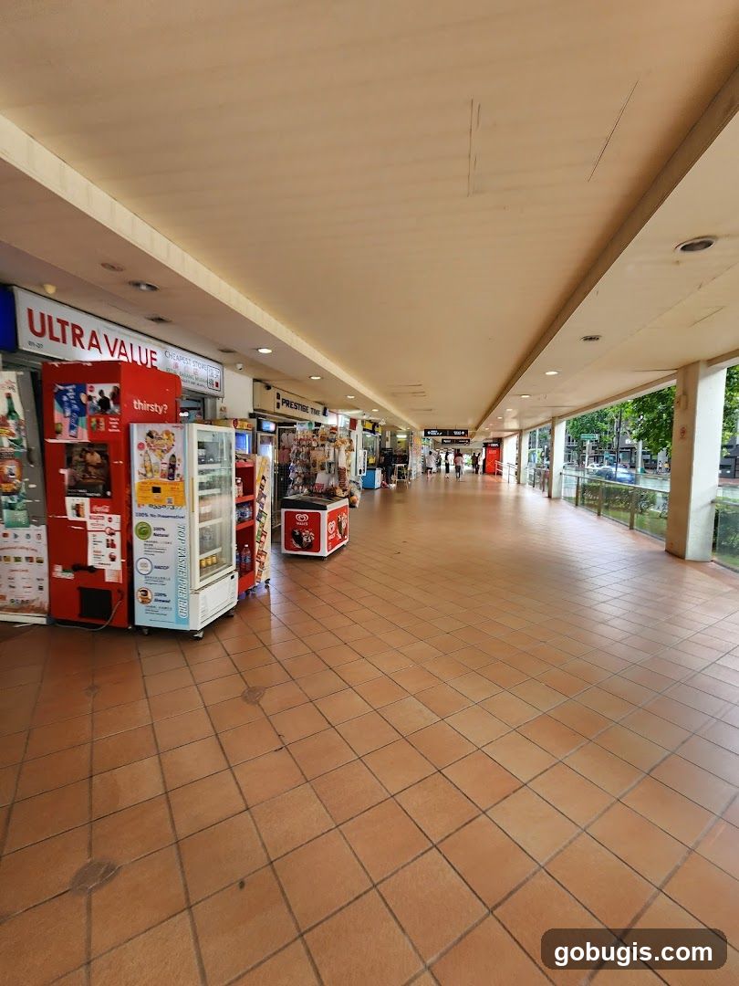 Outdoor walkway with shops