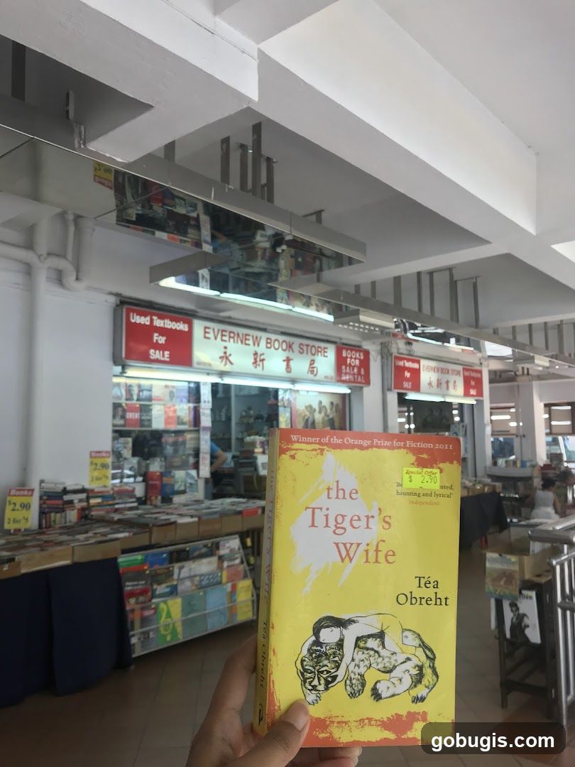 Bookstore Interior with Book