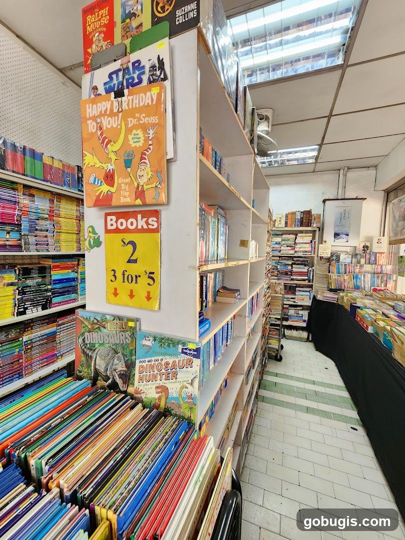 Bookstore Interior
