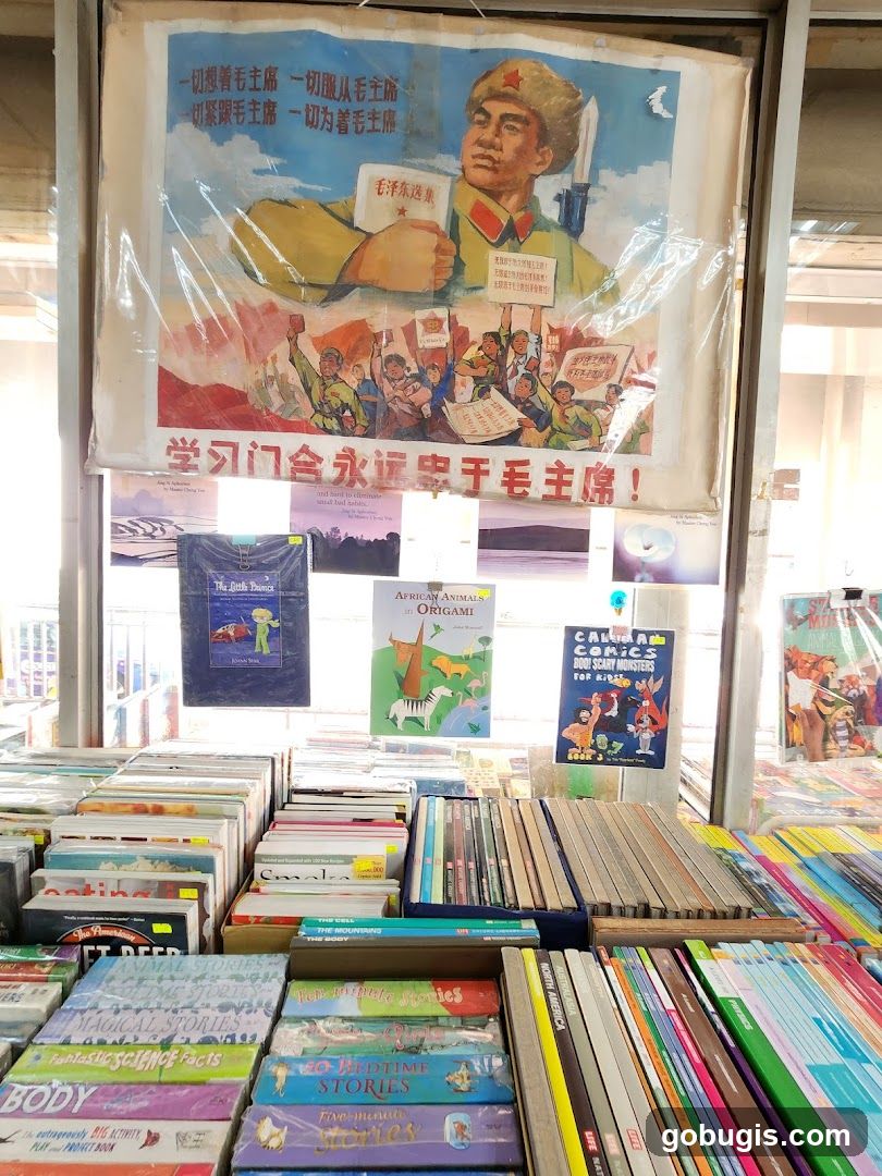 Books and Propaganda Poster