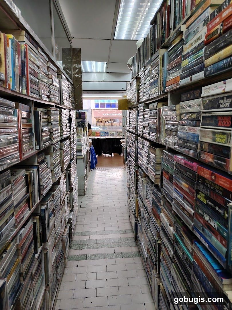 Aisle of Books