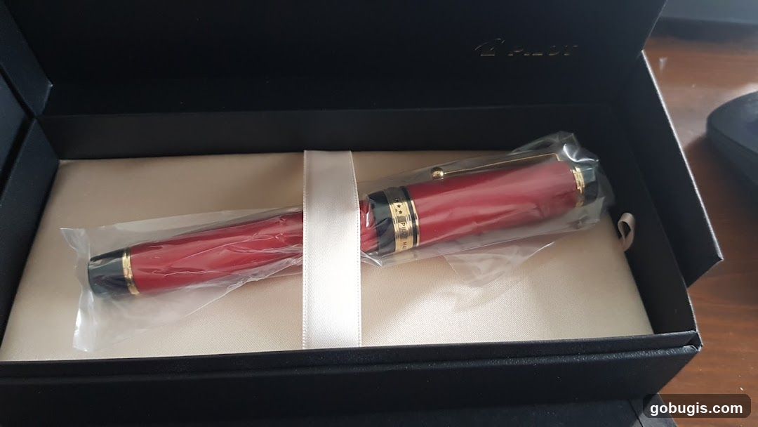 Pilot Fountain Pen in Box