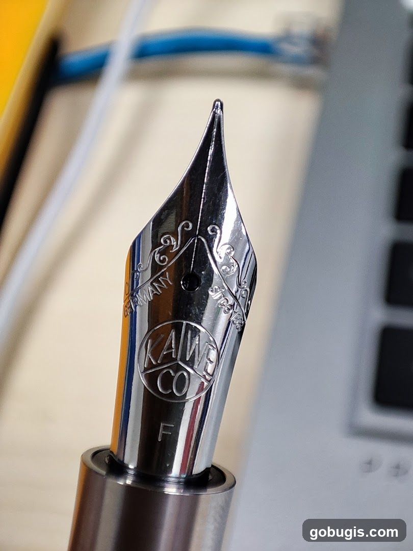 Fountain Pen Nib