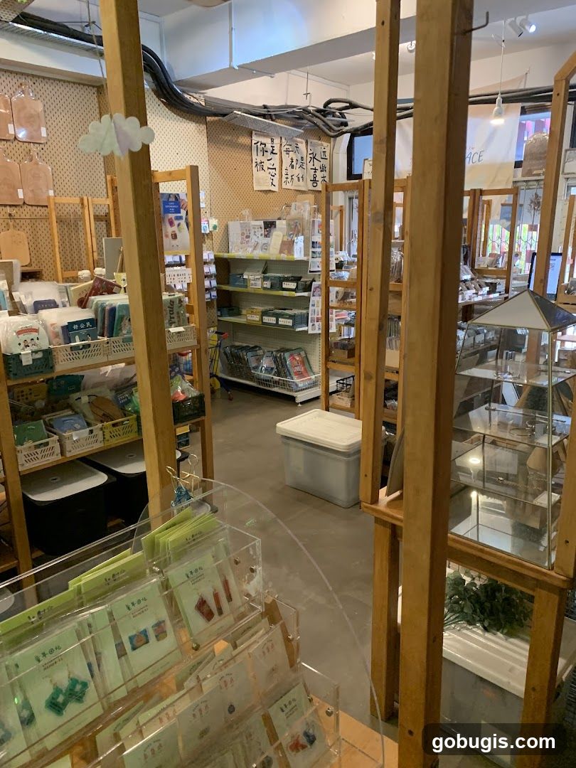 Store Interior with Shelving and Display Cases