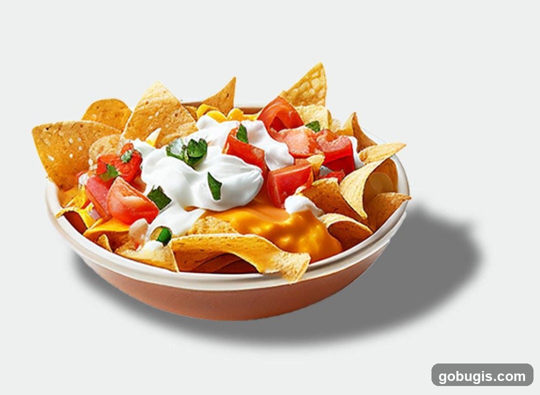 Nachos with Toppings