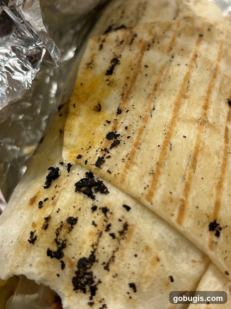 Grilled Wrap with Charred Bits