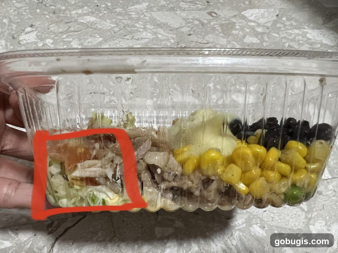 Salad in a clear plastic container
