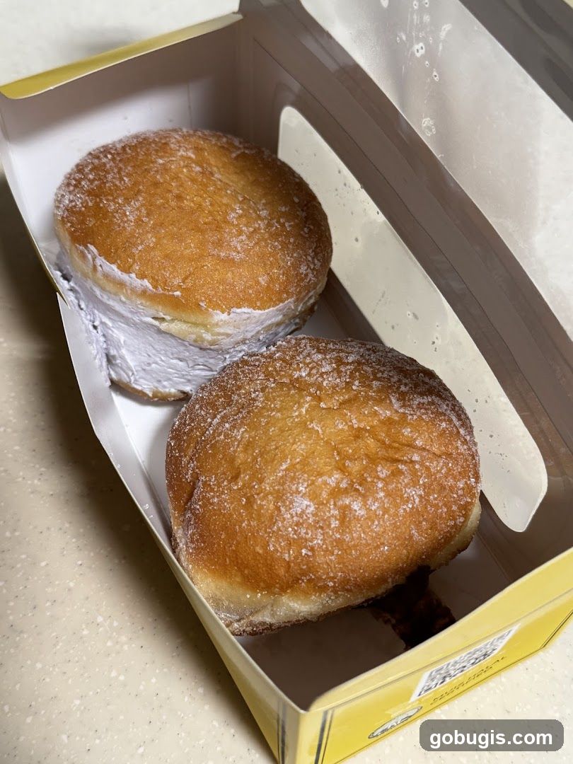 Two donuts in a box