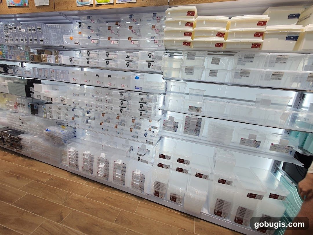 Storage Containers