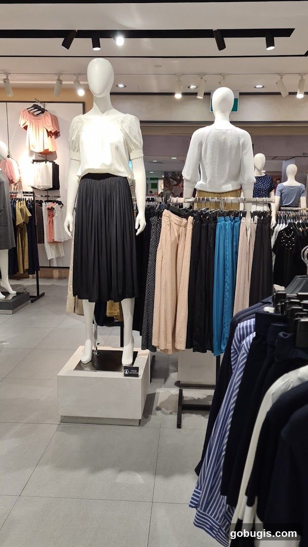 Mannequins in a clothing store