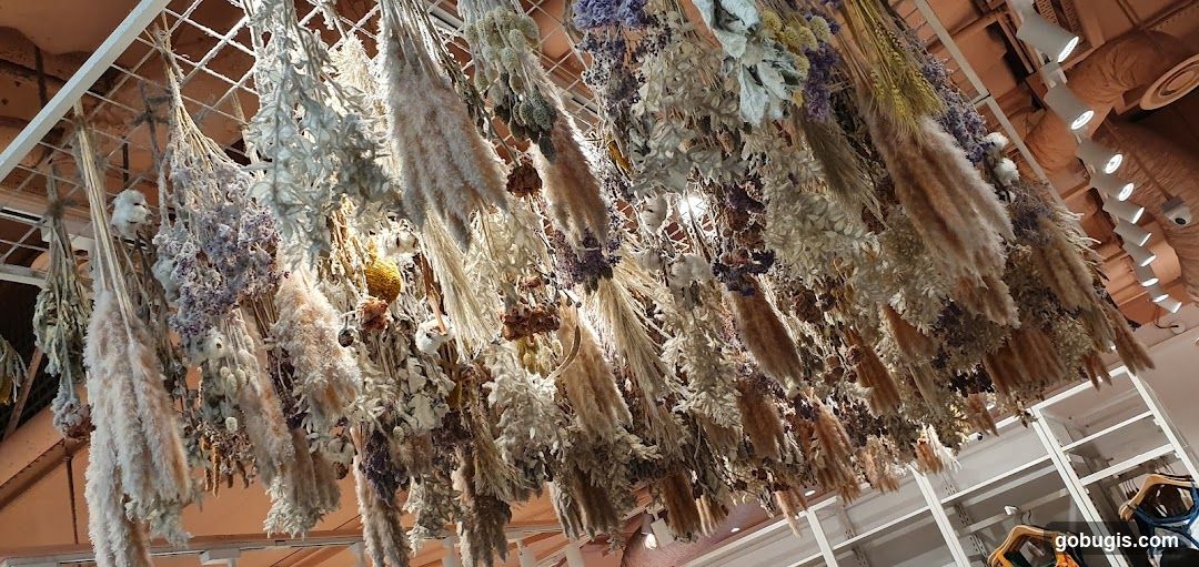Dried Flower and Grass Arrangements Hanging from Ceiling