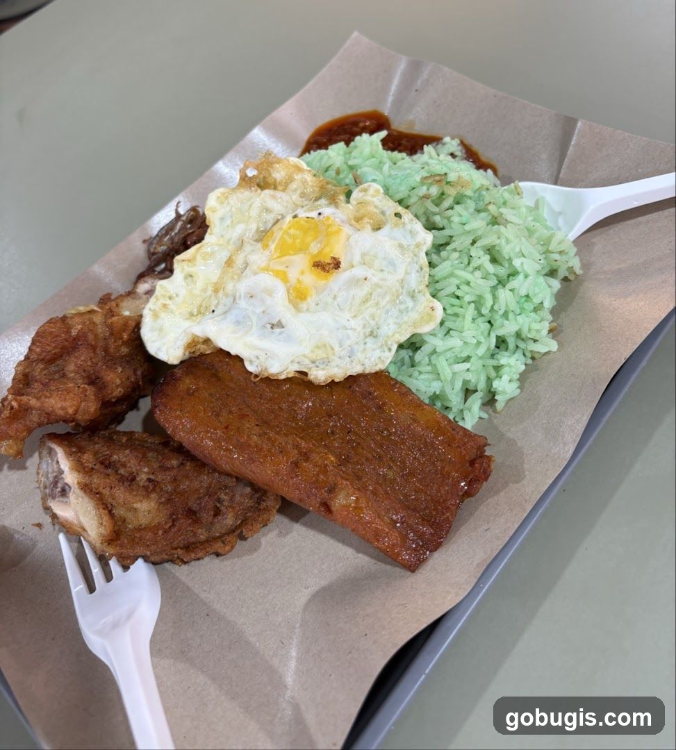 Jia Nasi Lemak (New Generation)