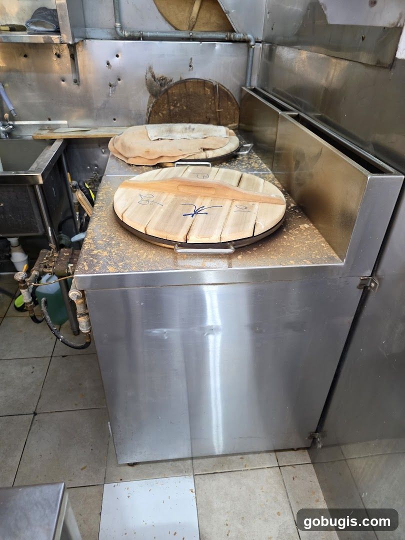 Tandoor Ovens
