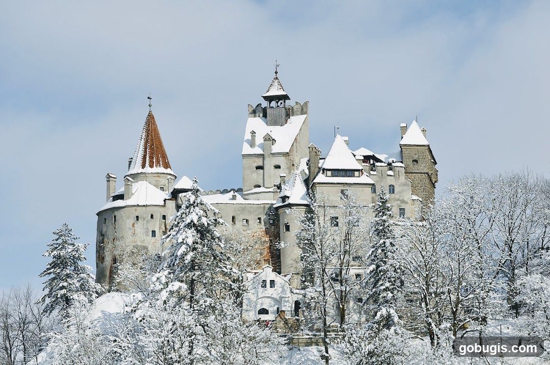 Bran Castle in Winter