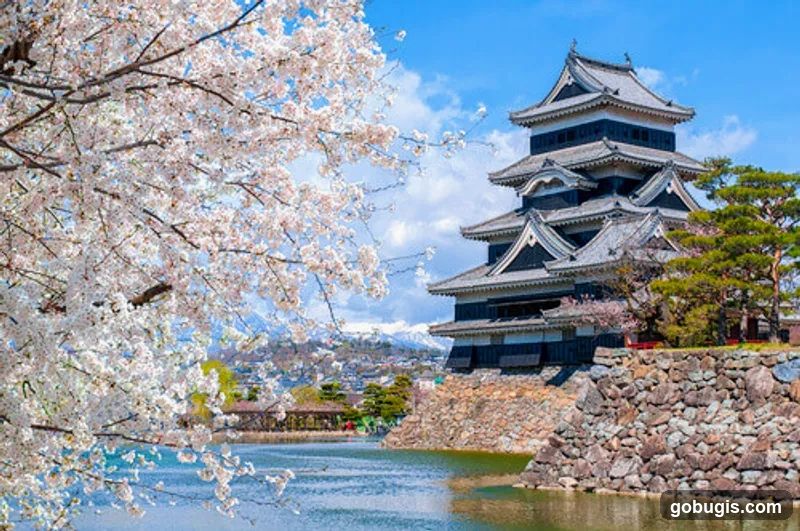Japanese Castle in Spring