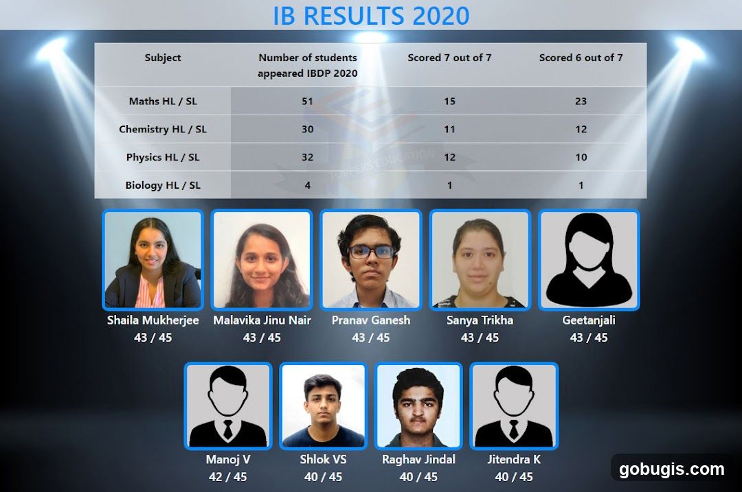 IB Results 2020