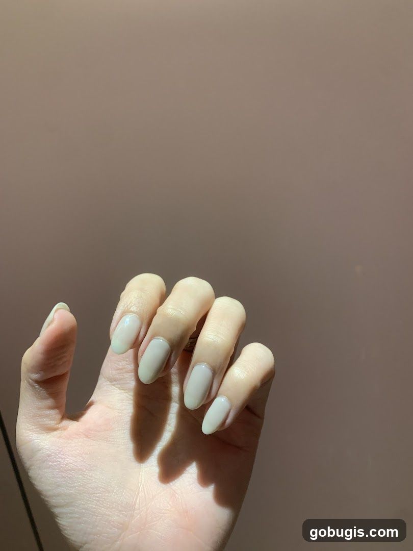 Jasmine Artistry Nails