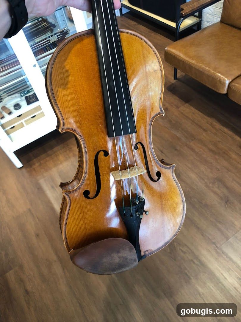 Shaojun Violins