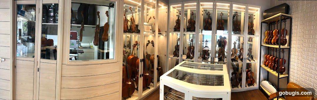 Shaojun Violins