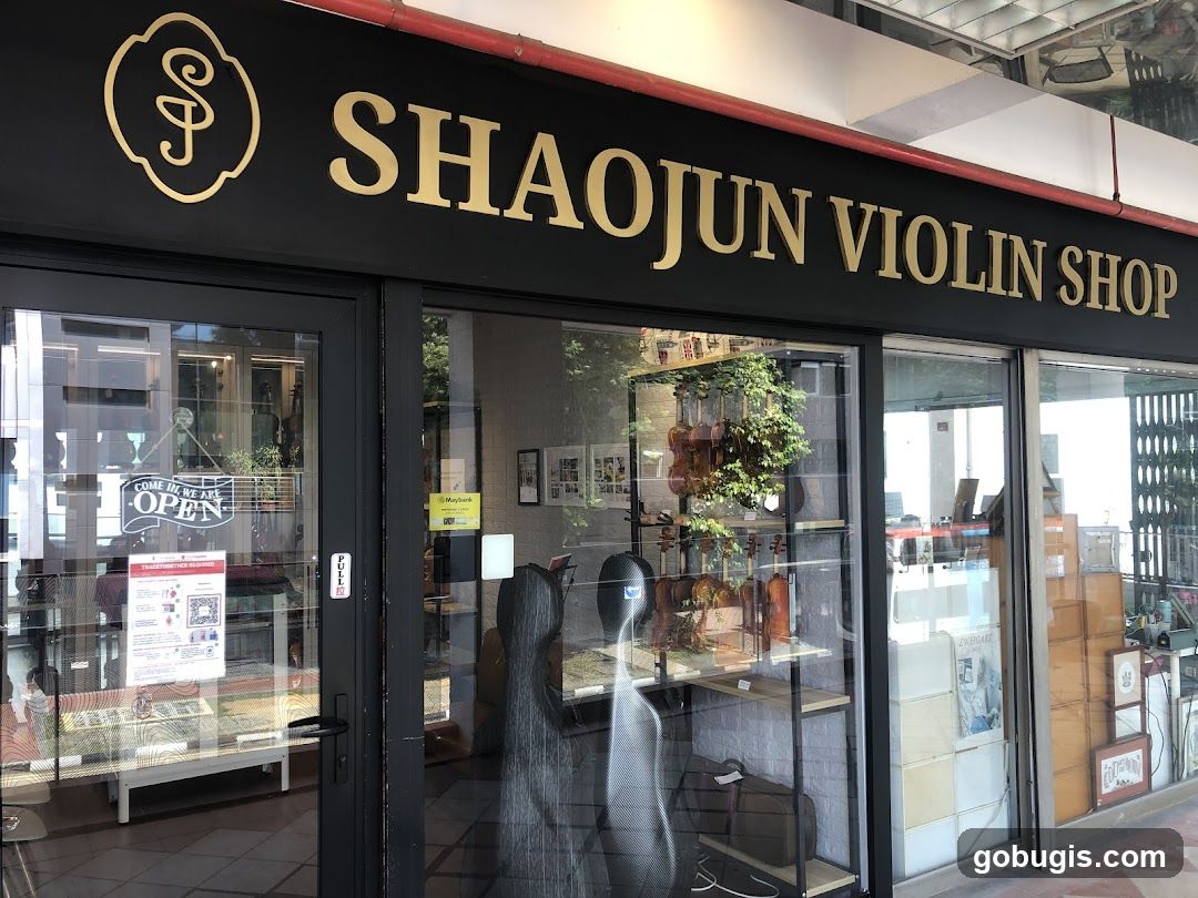 Shaojun Violins