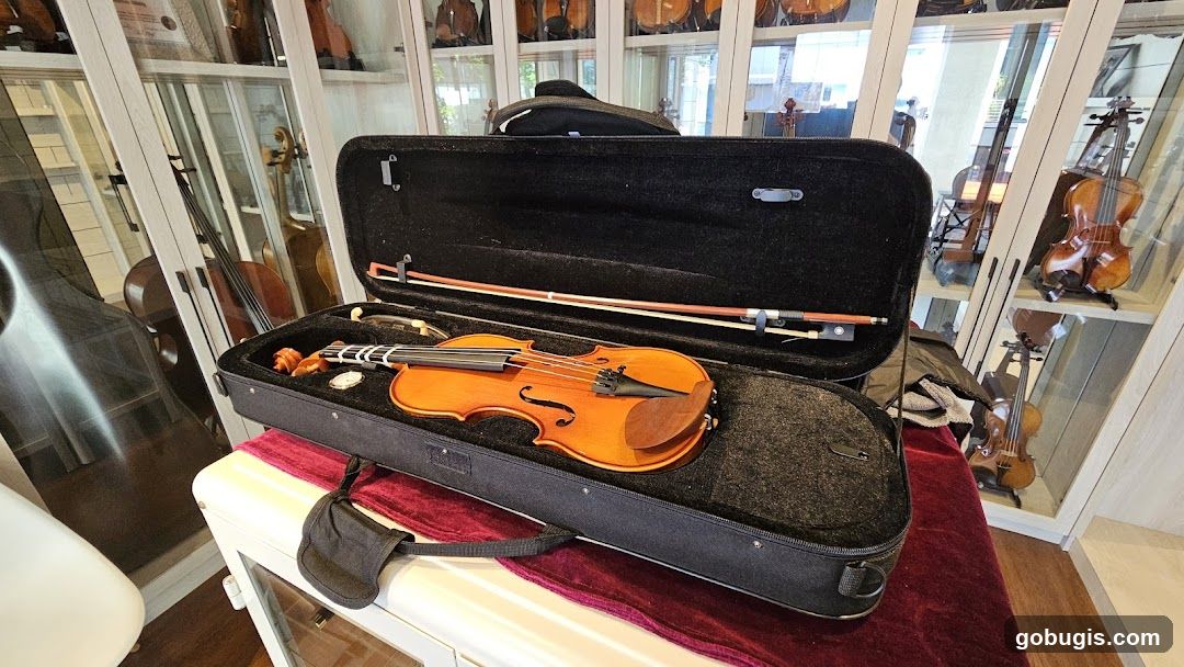 Violin in Case with Display of String Instruments